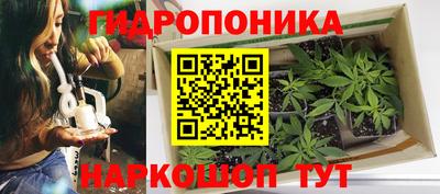 эйфоретик Малоярославец