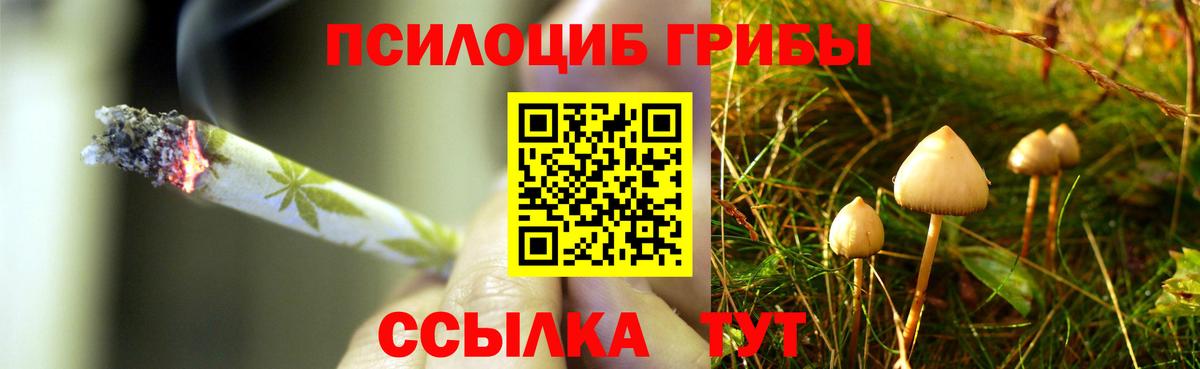 Псилоцибиновые грибы MAGIC MUSHROOMS Улан-Удэ